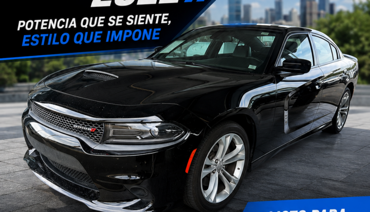 202BFBA2-0E8A-41AE-9368-628EF362E668